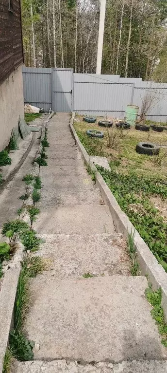Дом 54 м на участке 12 сот. - Фото 1