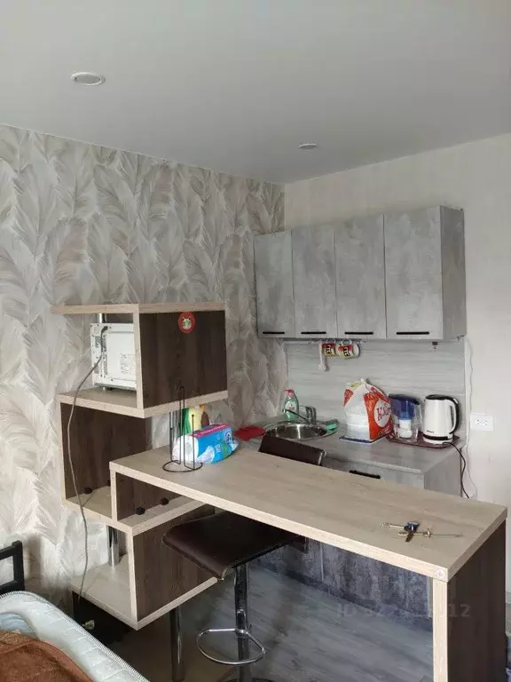 Студия Омская область, Омск ул. Авиагородок, 34 (17.0 м) - Фото 0