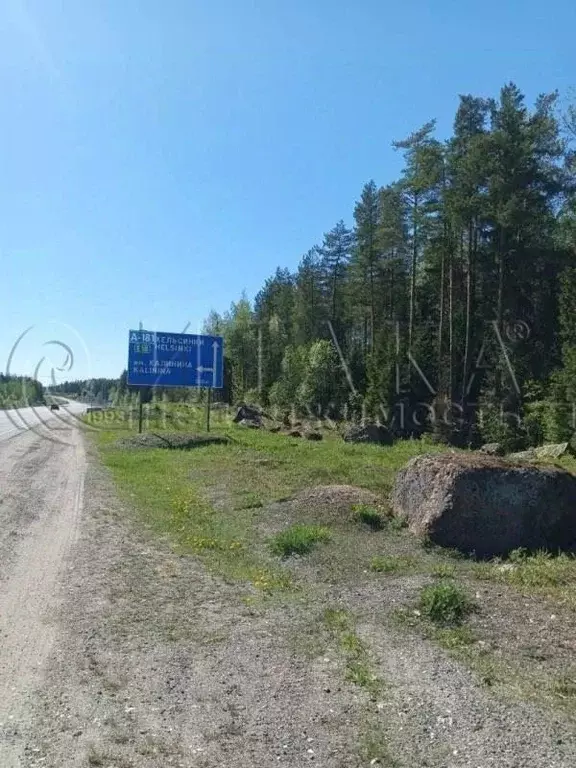 Участок в Ленинградская область, Выборг ш. Калининское (10.0 сот.) - Фото 0