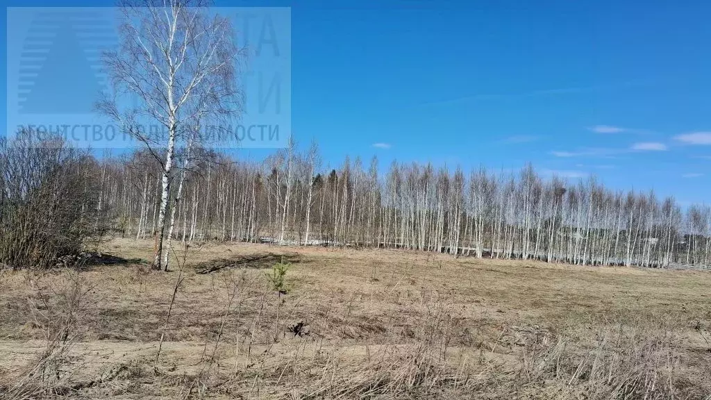 Участок в Ивановская область, Ивановский муниципальный округ, д. ... - Фото 2