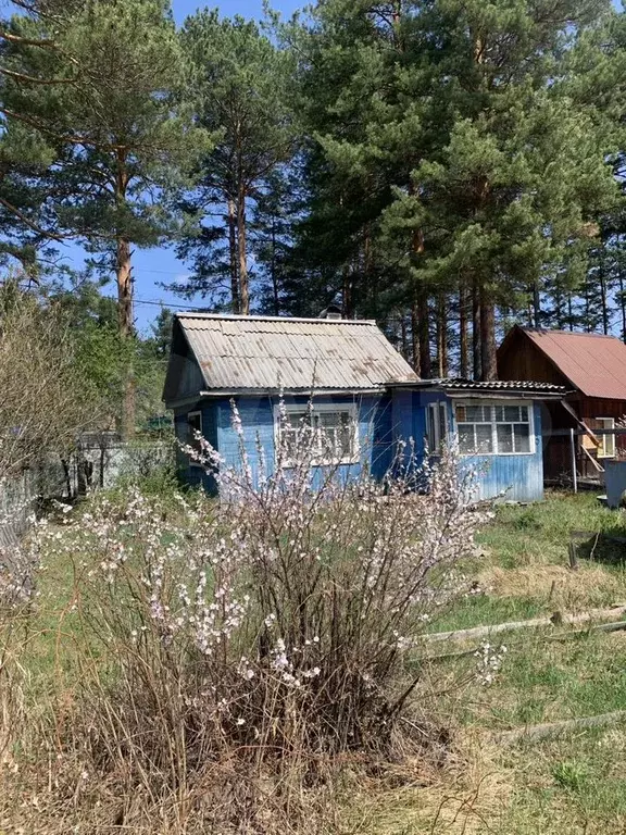 Дача 24 м на участке 8 сот. - Фото 0