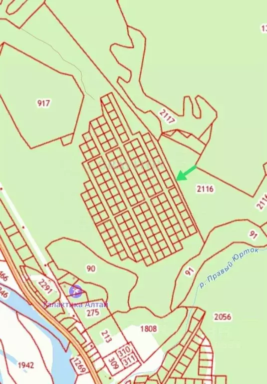 Участок в Алтай, Турочакский район, с. Артыбаш ул. Глухариная (10.0 ... - Фото 1