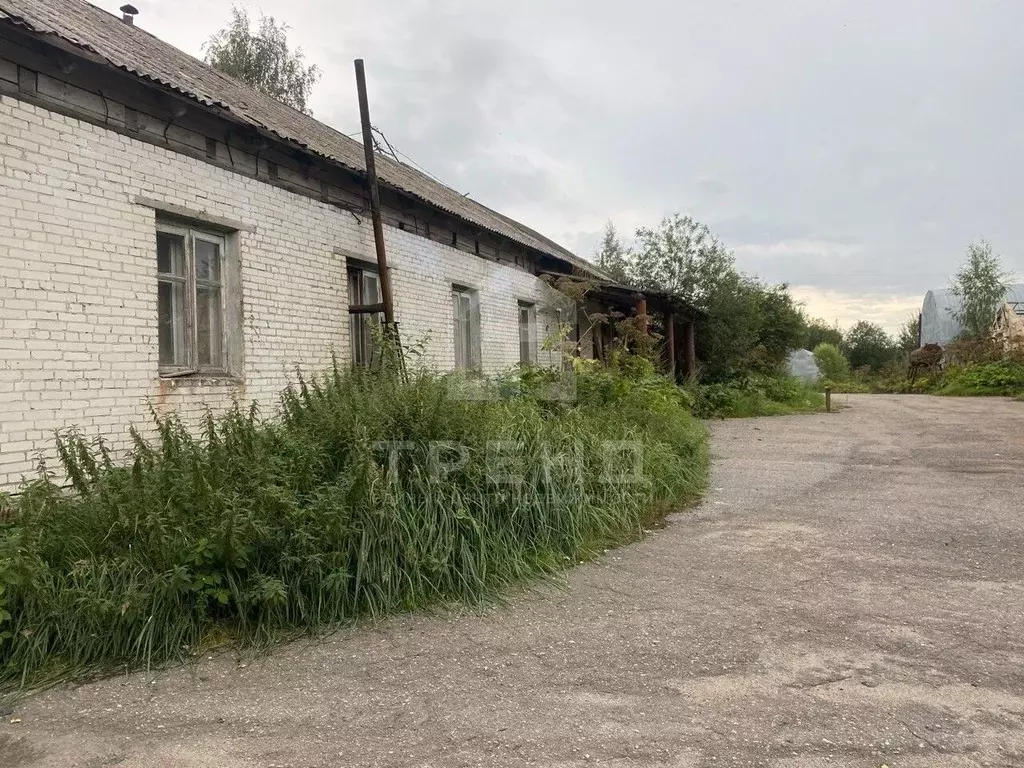Склад в Ленинградская область, Любань Тосненский район, Ленинградское ... - Фото 0
