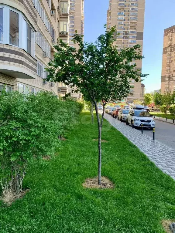 Продаётся квартира-студия, 25.6 м - Фото 1