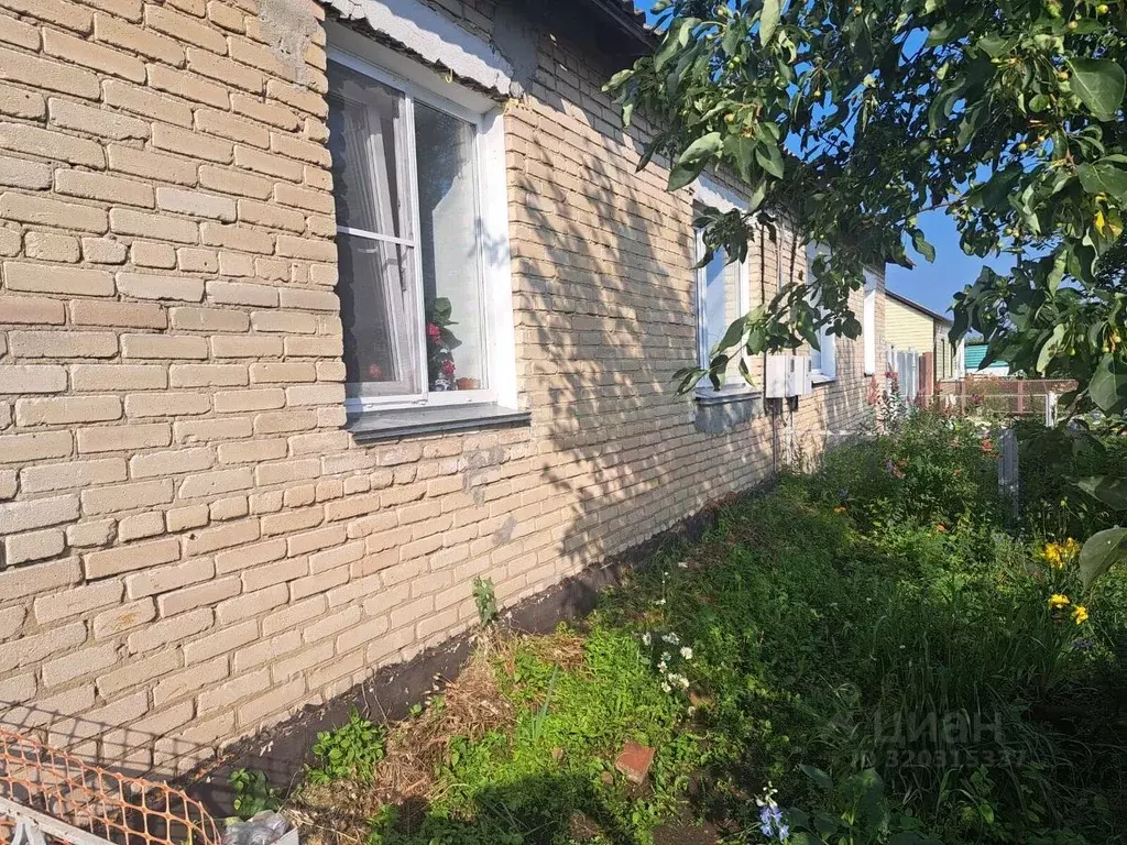 Дом в Челябинская область, Еткульский муниципальный округ, с. Шибаево ... - Фото 2