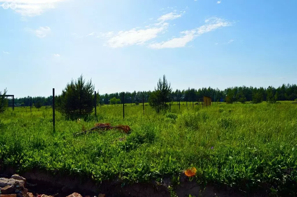 Участок в Сергиево-Посадский городской округ, коттеджный посёлок ... - Фото 2