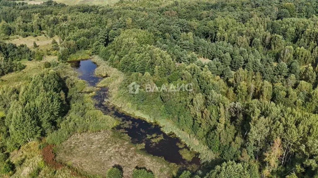 Участок в Калининградская область, Багратионовский муниципальный ... - Фото 1