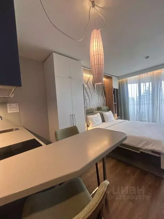 Студия Краснодарский край, Сочи городской округ, Дагомыс пгт ул. ... - Фото 2