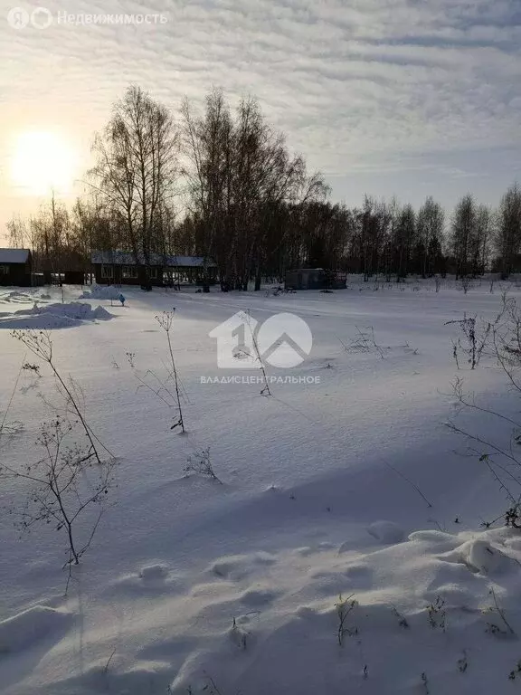 Участок в Быстровский сельсовет, коттеджный посёлок Экопарк (16 м) - Фото 1