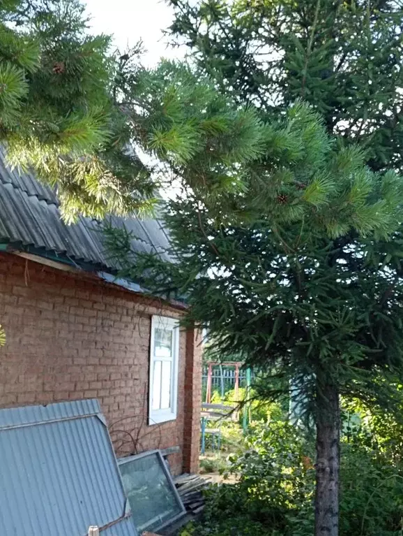 Дом в Омская область, Омск СОСН Шинник-2 тер., аллея 2-я (30 м) - Фото 1