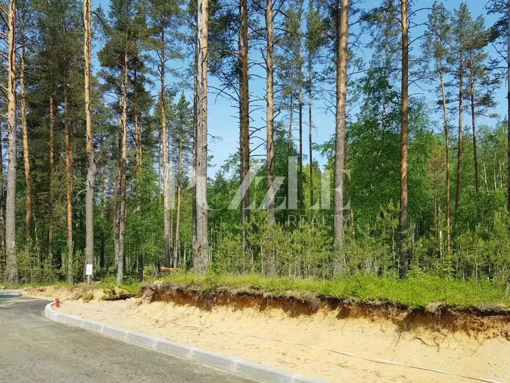 Участок в Ленинградская область, Приозерский район, Раздольевское ... - Фото 1