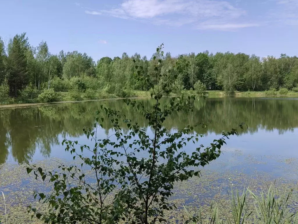 Участок в Московская область, Серпухов городской округ, Сосновый бор ... - Фото 1