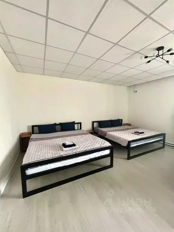 Комната Алтайский край, Заринск Зеленая ул., 34 (32.0 м) - Фото 0