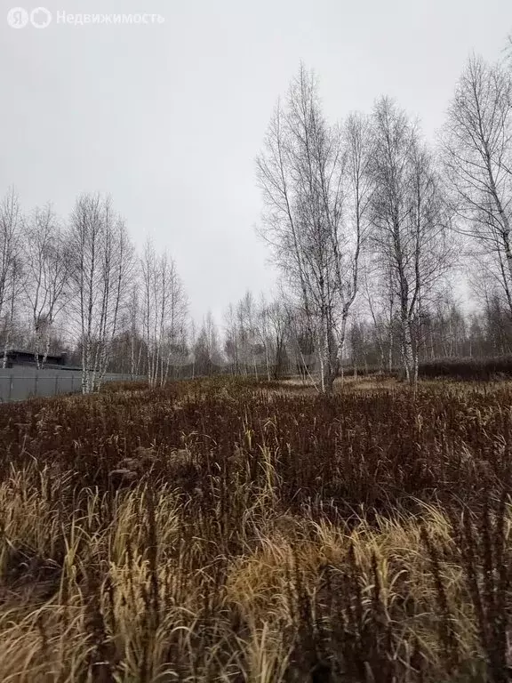 Участок в Тульская область, городской округ Тула, деревня Новосёлки ... - Фото 1