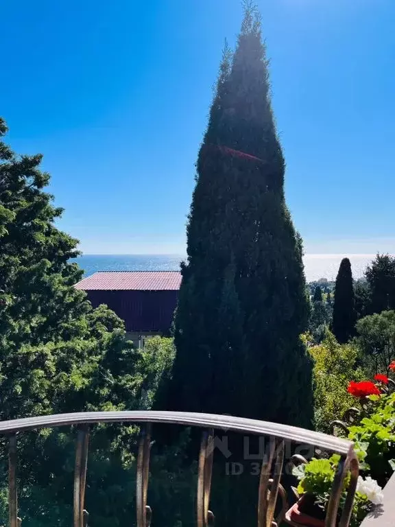 Студия Крым, Ялта ул. Войкова, 10 (33.0 м) - Фото 1