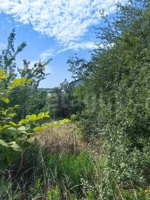 Участок в село Стрелецкое, садовые участки (8.5 м) - Фото 2