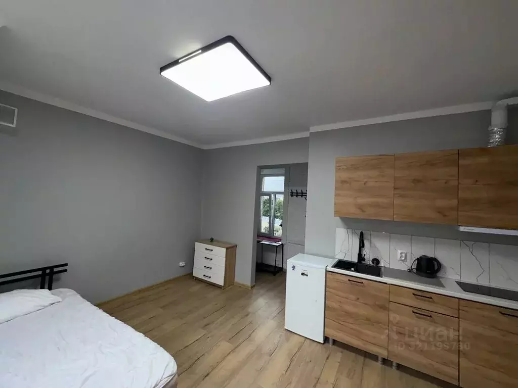 Студия Санкт-Петербург 11-я Васильевского острова линия, 60 (26.0 м) - Фото 1