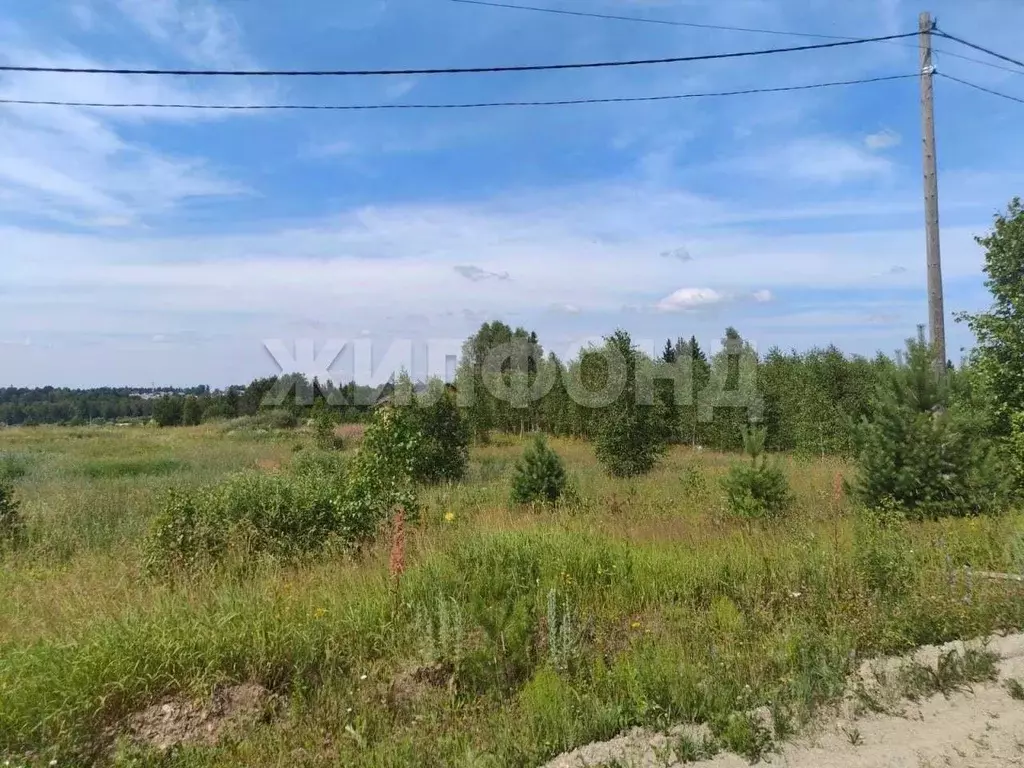 Участок в Томская область, Томский район, с. Корнилово, Красная горка ... - Фото 0