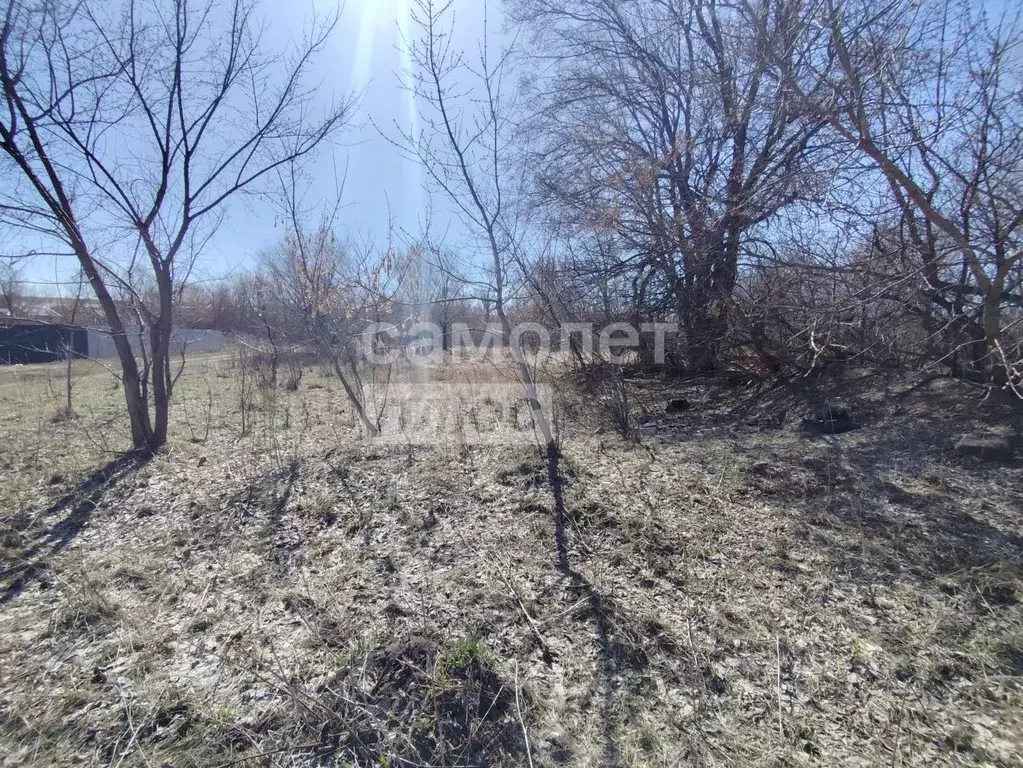 Участок в Самарская область, Сызранский район, с. Заборовка ... - Фото 1