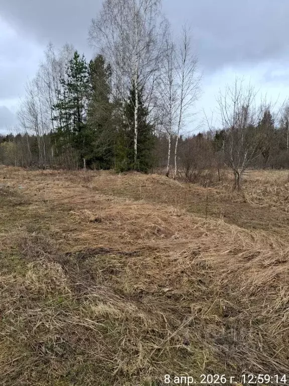 Участок в Московская область, Можайский муниципальный округ, пос. ... - Фото 2