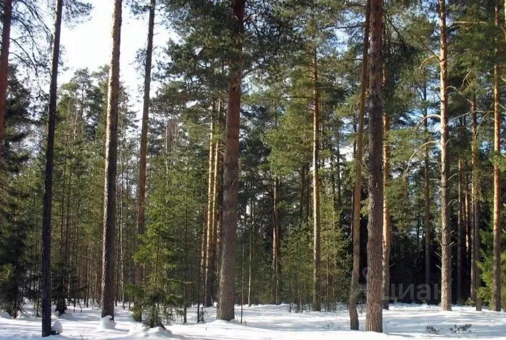 Участок в Московская область, Одинцовский городской округ, пос. ... - Фото 0