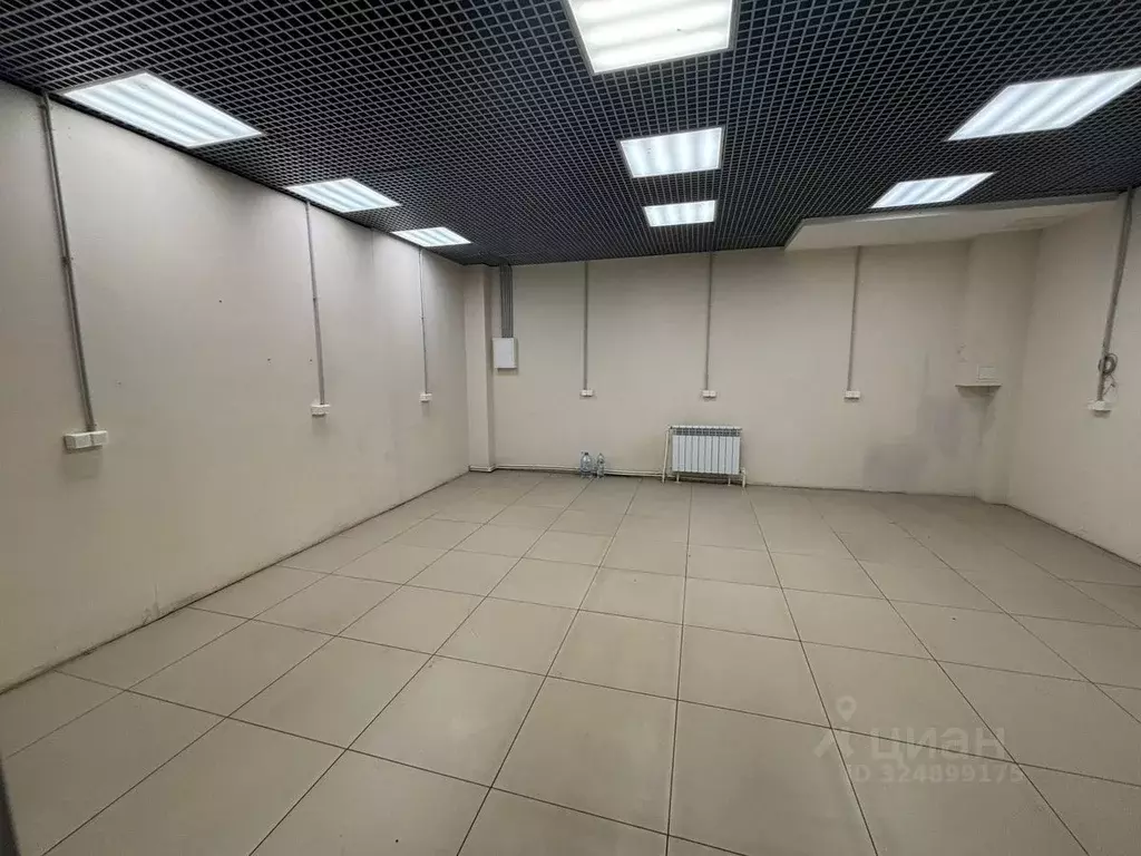 Торговая площадь в Воронежская область, Воронеж ул. Урывского, 2В (33 ... - Фото 1