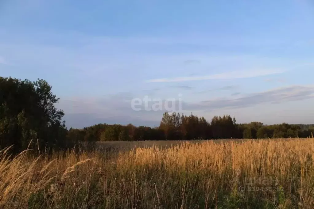 Участок в Псковская область, Пушкиногорский муниципальный округ, д. ... - Фото 1