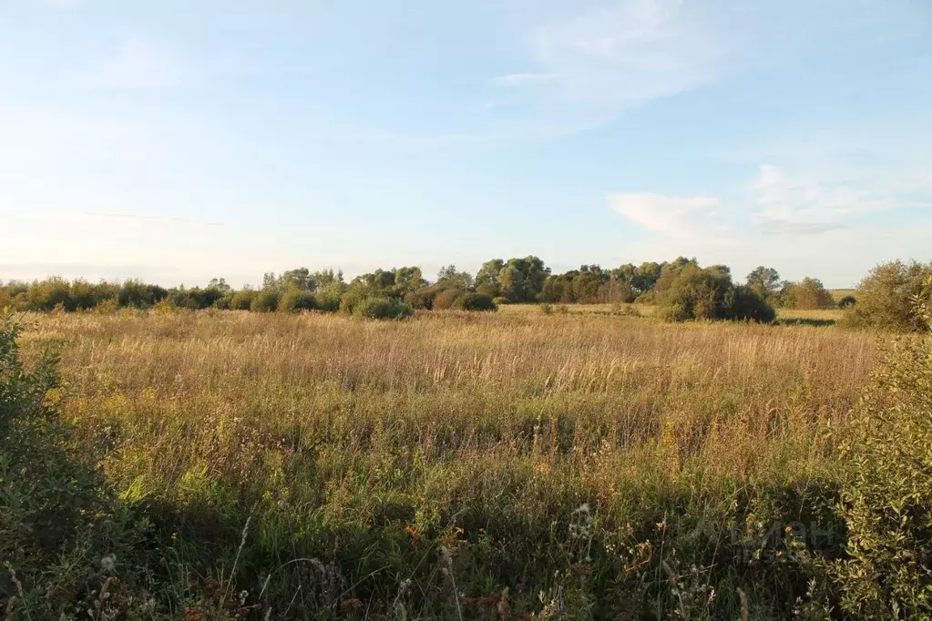 Участок в Смоленская область, Гагаринский район, д. Трубино  (220.0 ... - Фото 1