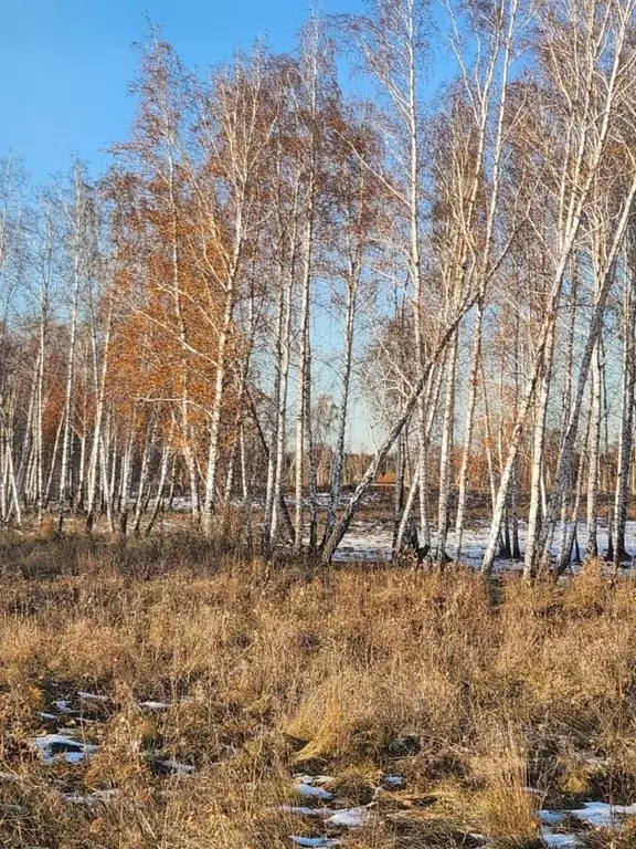 Участок в Челябинская область, Красноармейский район, Луговское с/пос, ... - Фото 0