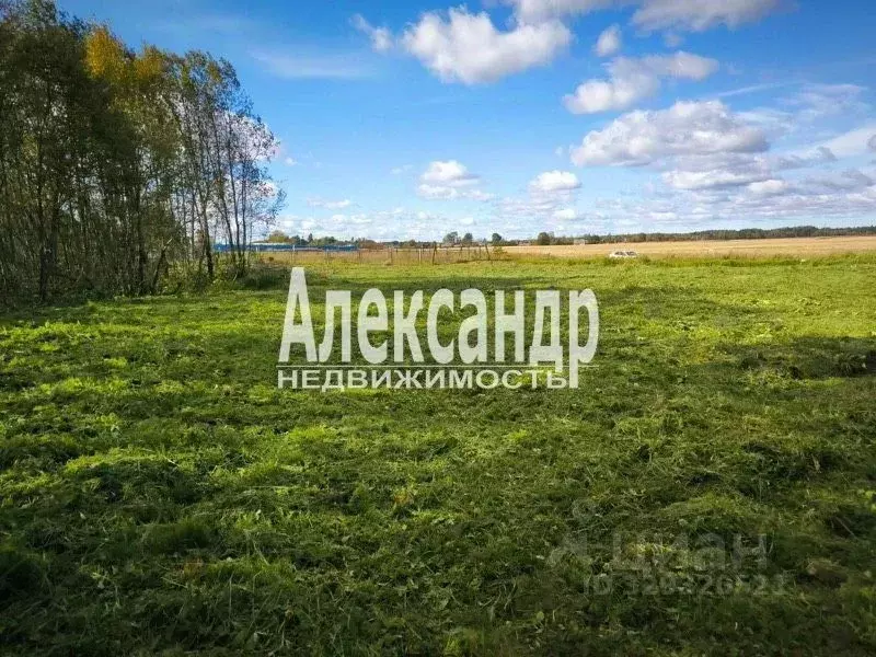 Участок в Ленинградская область, Волосовский район, д. Бегуницы  (30.0 ... - Фото 1