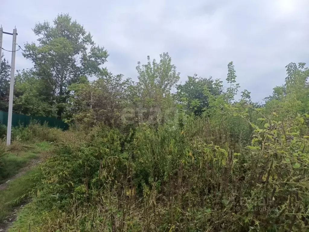 Участок в Тульская область, Тула городской округ, Дружба СТ  (10.0 ... - Фото 1