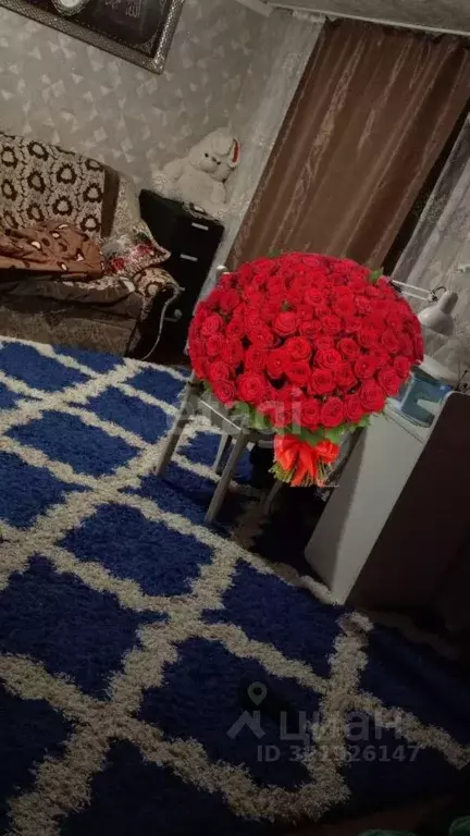 Дом в Ставропольский край, Шпаковский муниципальный округ, с. ... - Фото 2