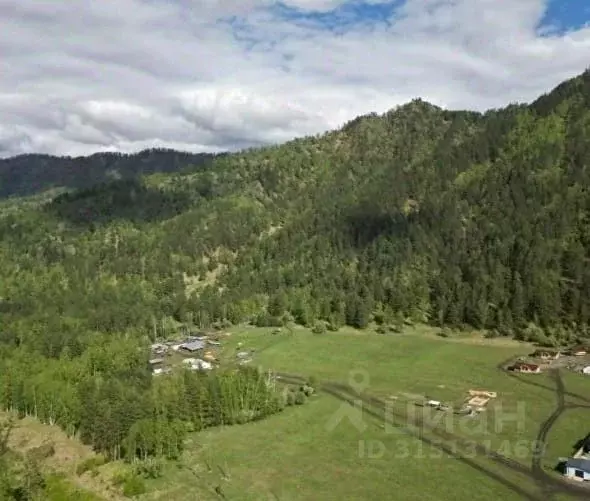 Участок в Алтай, Чемальский район, с. Турбаза Катунь ул. Романтиков, 1 ... - Фото 0