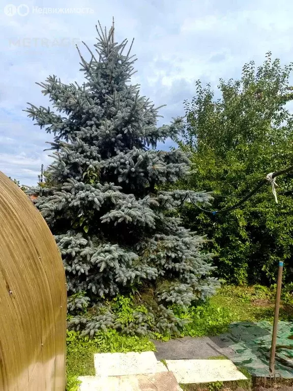 Дом в Колыванский район, СНТ Вертолёт (60 м) - Фото 1