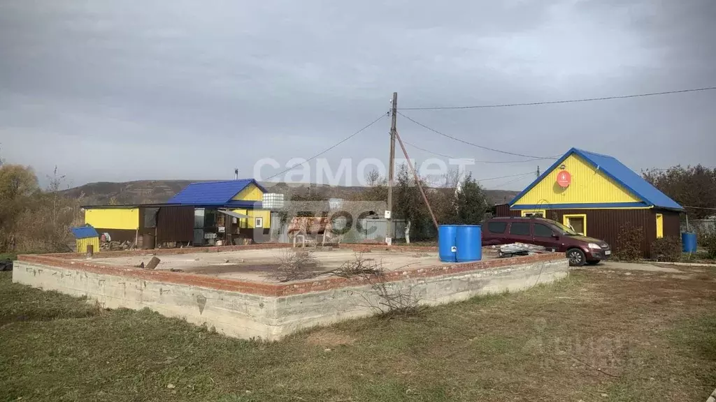 Дом в Татарстан, Елабужский район, Костенеевское с/пос, Чайка-2 СНТ  ... - Фото 2