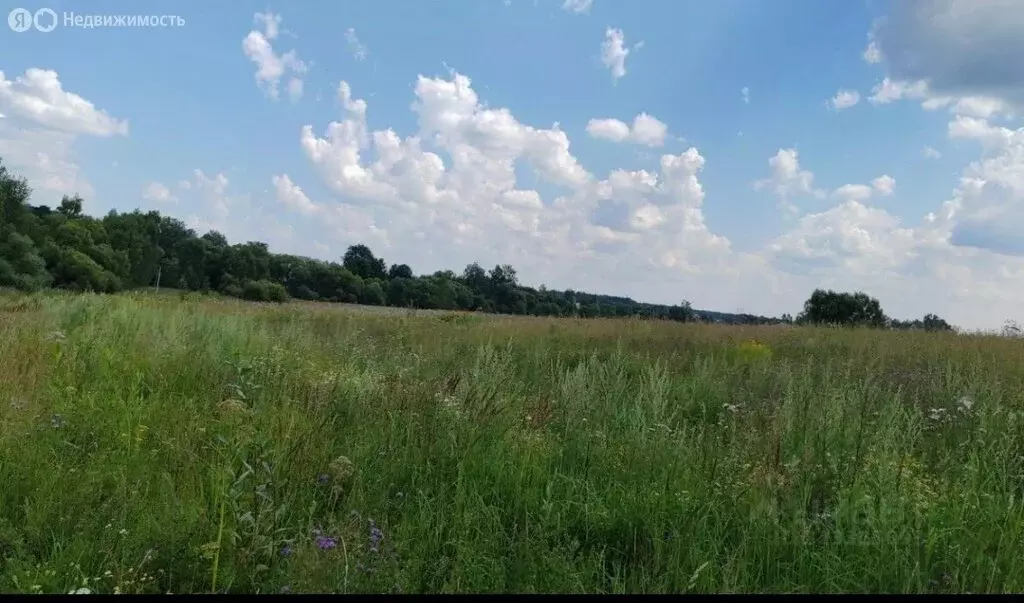 Участок в Московская область, муниципальный округ Чехов, деревня ... - Фото 1