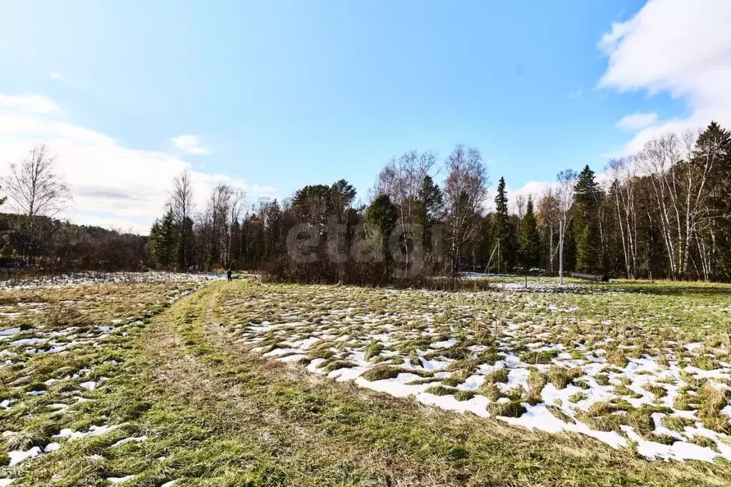 Участок в Томская область, Томский район, д. Большое Протопопово, О/Л ... - Фото 1