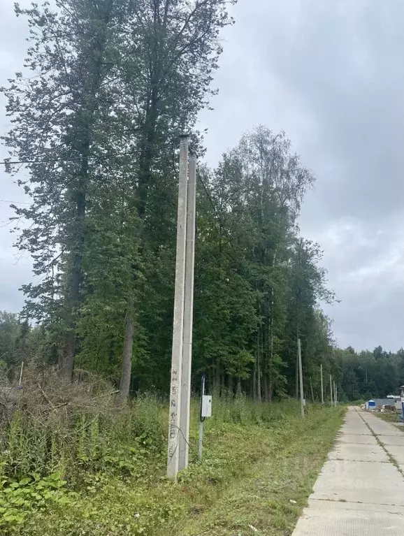 Участок в Московская область, Одинцовский городской округ, д. Сивково, ... - Фото 0