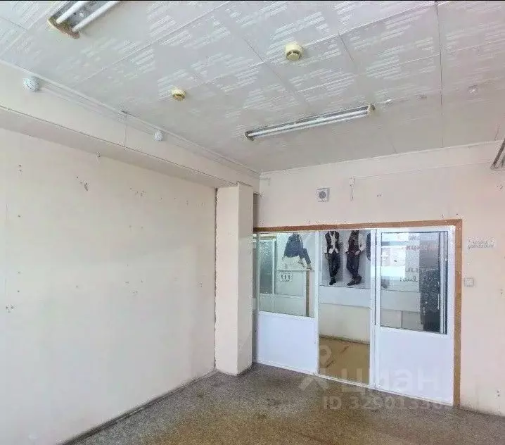 Офис в Владимирская область, Владимир ул. Чайковского, 3Б (17 м) - Фото 1