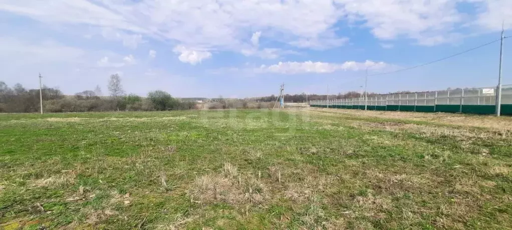 Участок в Калужская область, Медынский муниципальный округ, Романово ... - Фото 2