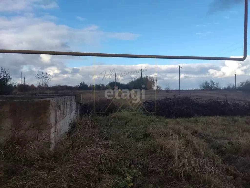 Участок в Воронежская область, Борисоглебский городской округ, с. ... - Фото 0