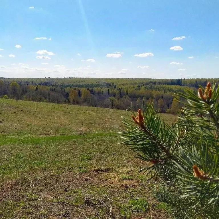 Дом в Ярославская область, Переславль-Залесский пл. Народная (500 м) - Фото 0