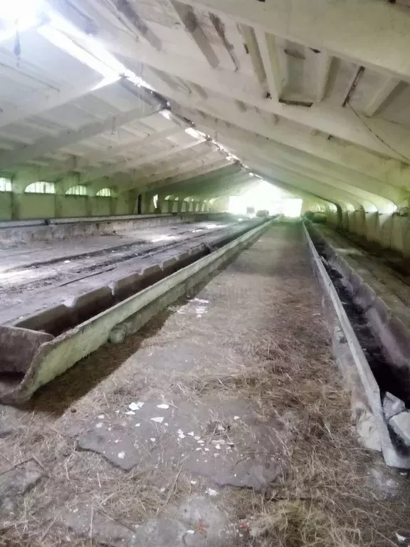 Производственное помещение в Тульская область, Новомосковск городской ... - Фото 2