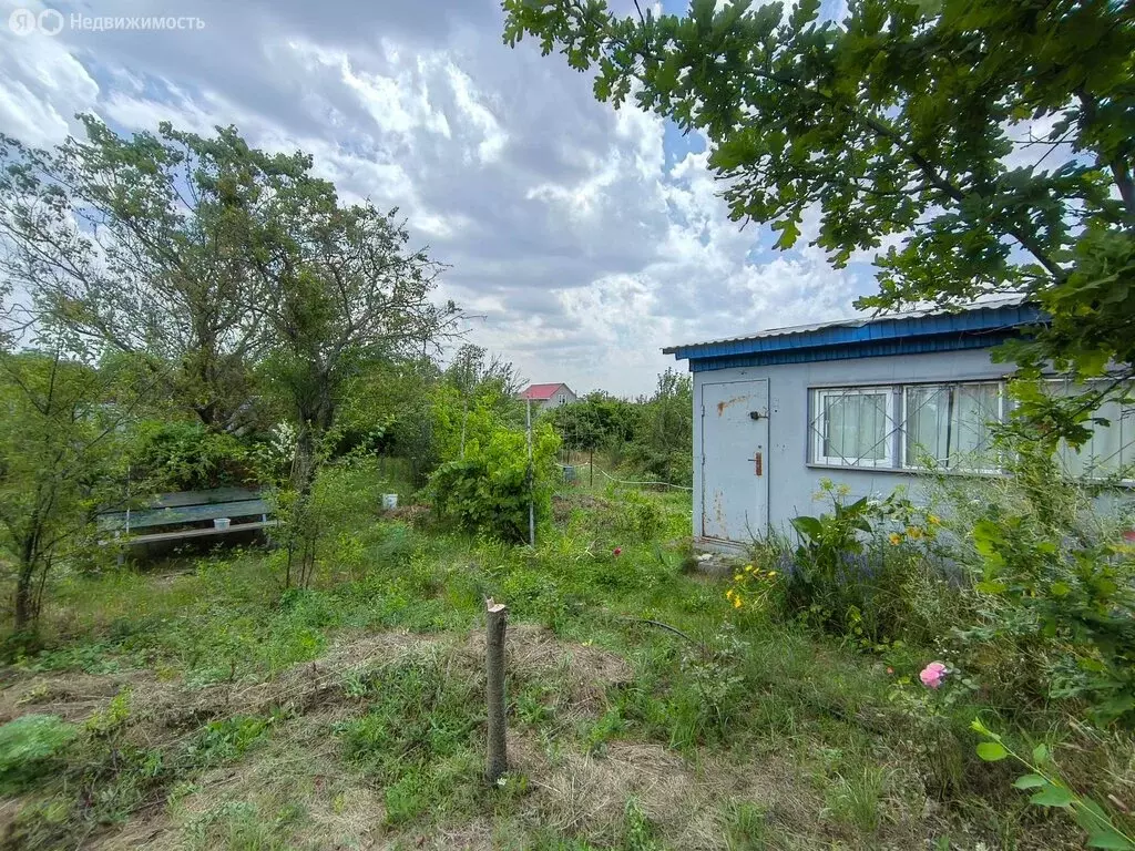 Участок в Ставрополь, садовое товарищество Зори Кавказа, 622 (6.06 м) - Фото 2