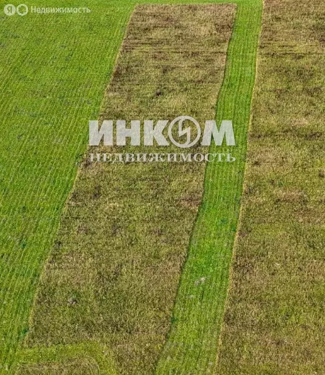 Участок в Московская область, городской округ Серпухов, деревня ... - Фото 1