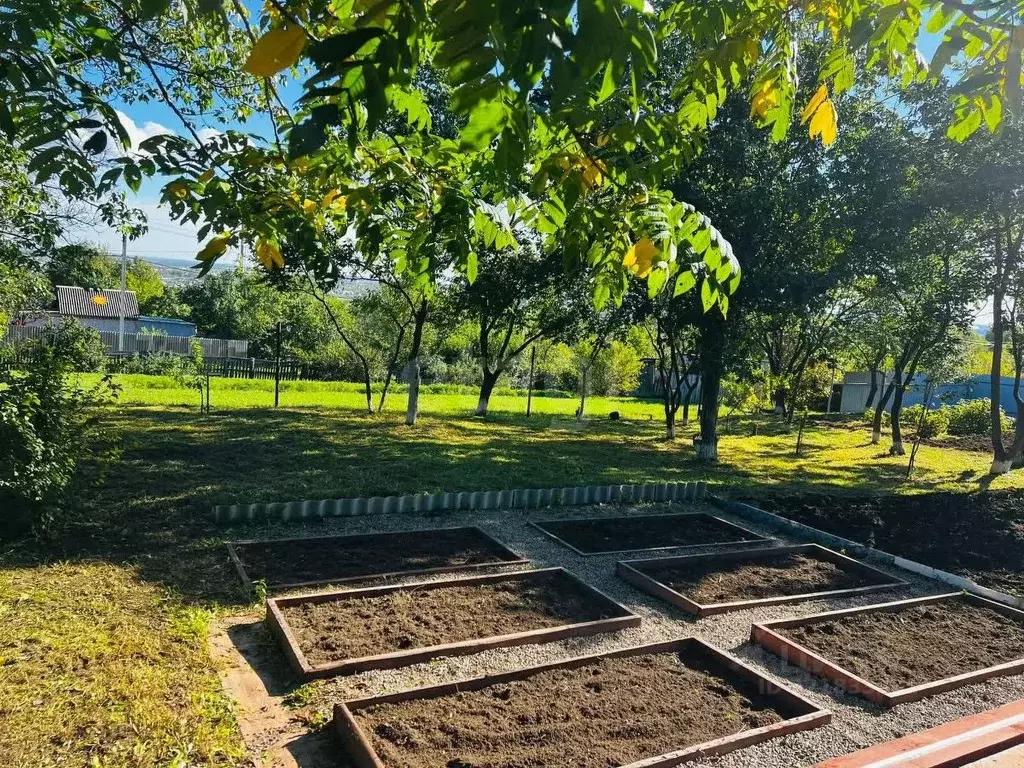 Участок в Амурская область, Благовещенск  (6.0 сот.) - Фото 1