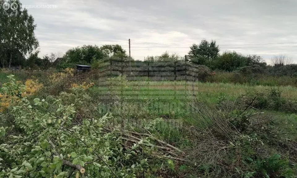 Участок в Таганрог, СНТ Строитель, 2-я аллея (8.8 м) - Фото 1