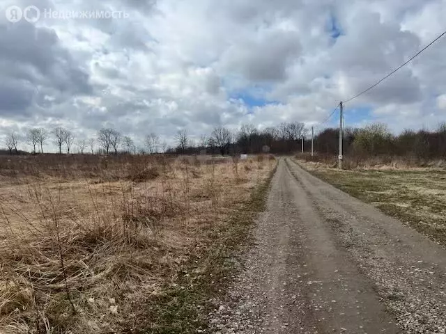 Участок в Калининградская область, Зеленоградский муниципальный округ, ... - Фото 1
