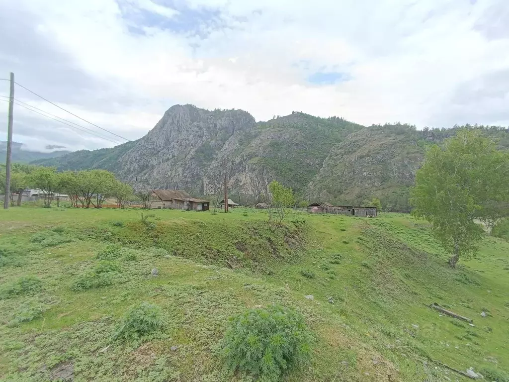Участок в Алтай, Чемальский район, с. Еланда  (126.05 сот.) - Фото 1