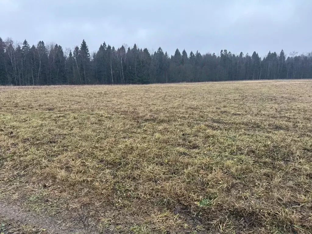 Участок в Московская область, Пушкинский городской округ, д. Жилкино  ... - Фото 0